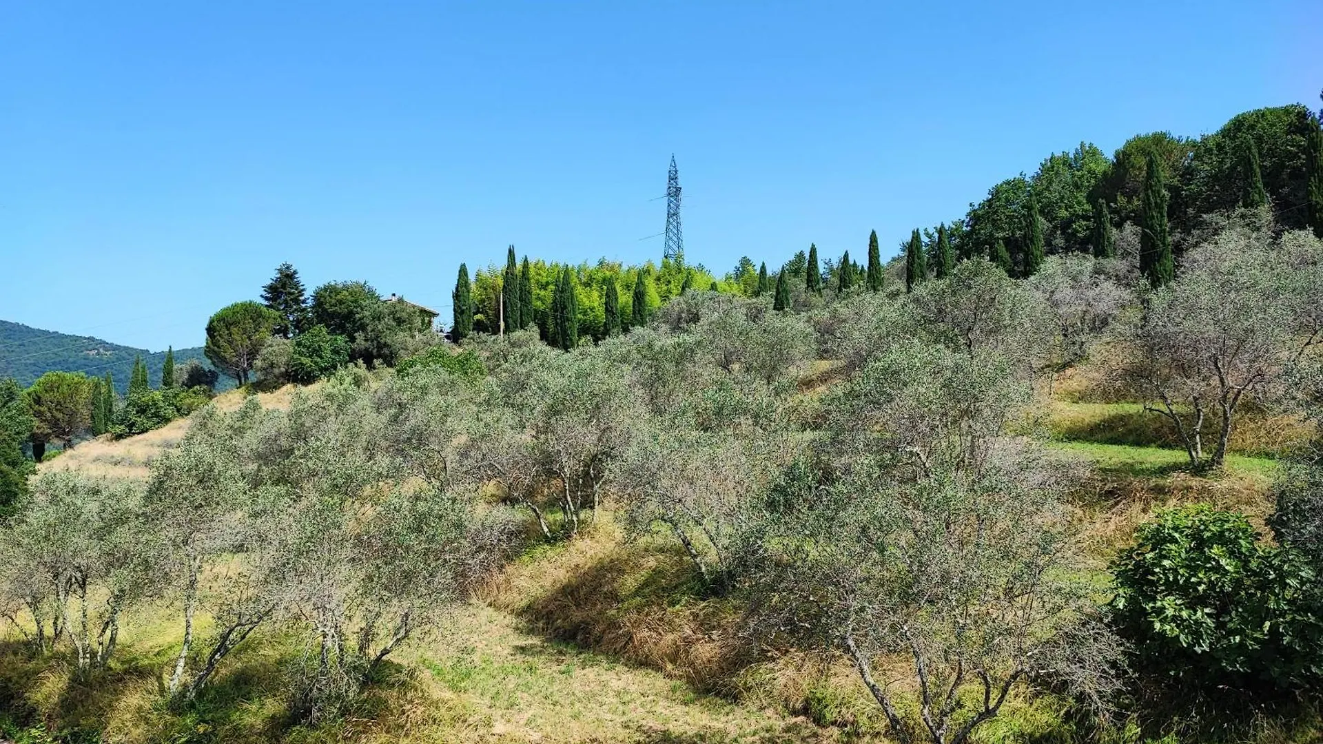 Appartamento Casabonsai Fivizzano