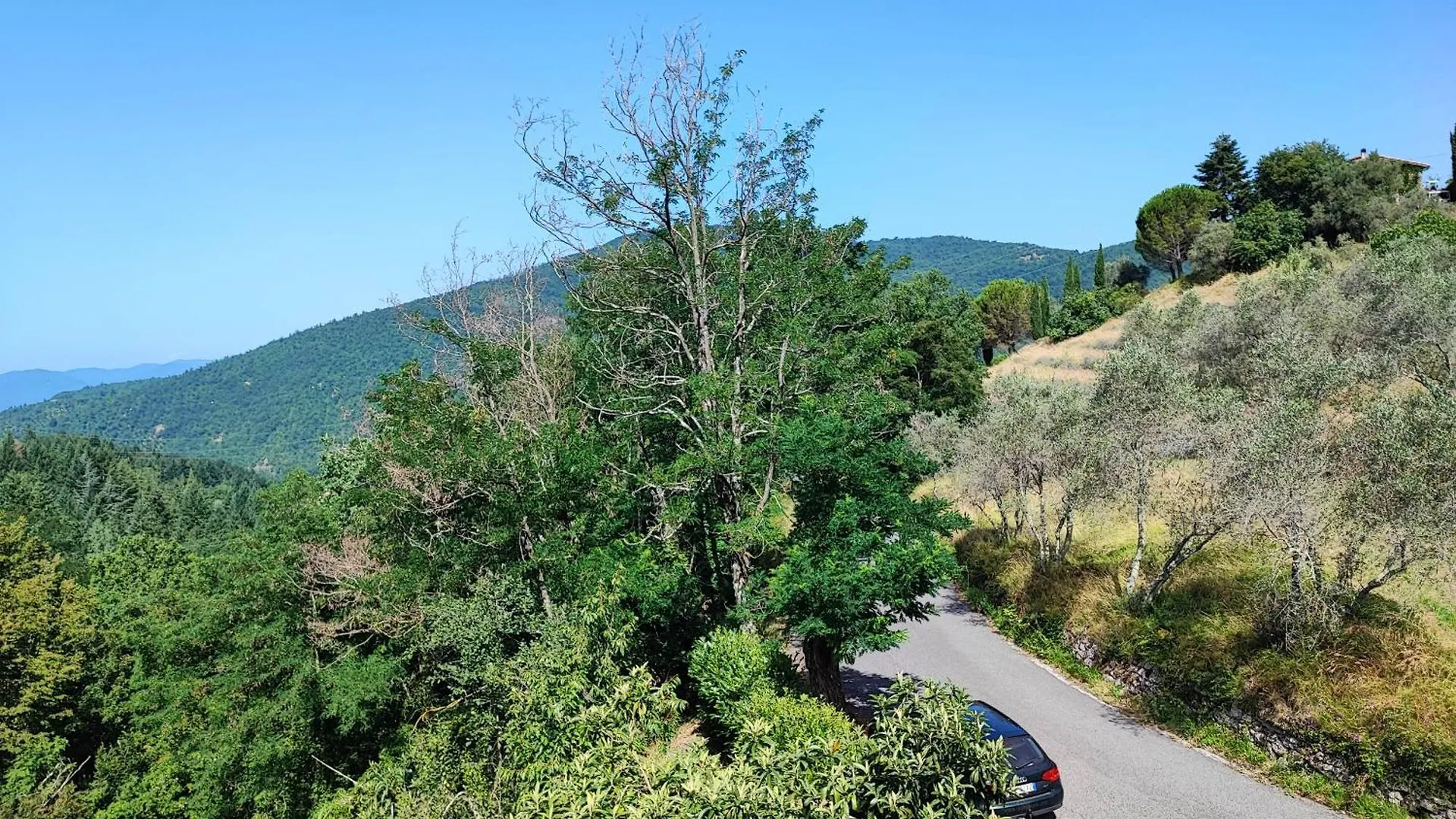 Appartamento Casabonsai Fivizzano